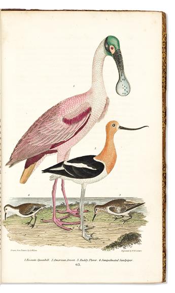 (NATURAL HISTORY.) Alexander Wilson; and Charles Lucien Bonaparte. American Ornithology;